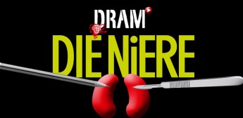 Die Niere
